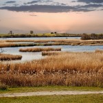 visita tablas de daimiel campaña teatro estudiantes